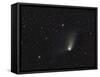 Comet Panstarrs-null-Framed Stretched Canvas