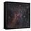 Cometary Globules Cg 30-31-38 in the Constellations Vela and Puppis-null-Framed Stretched Canvas