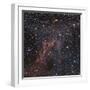 Cometary Globules Cg 30-31-38 in the Constellations Vela and Puppis-null-Framed Photographic Print