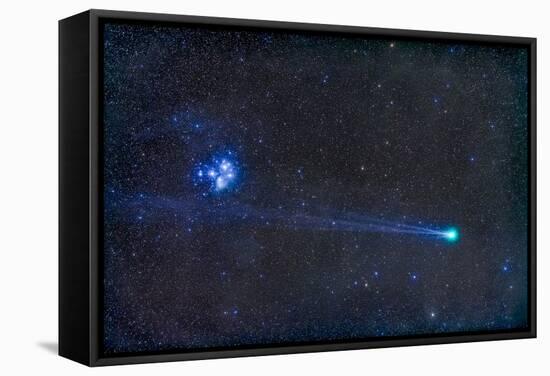 Comey Lovejoy (C-2014 Q2) Nearest the Pleiades Star Cluster-Stocktrek Images-Framed Stretched Canvas