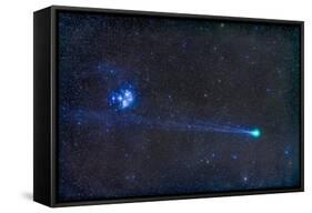 Comey Lovejoy (C-2014 Q2) Nearest the Pleiades Star Cluster-Stocktrek Images-Framed Stretched Canvas