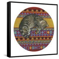 Comfortable Spot-Janet Pidoux-Framed Stretched Canvas