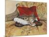 Comfy Slipper-Janet Pidoux-Mounted Giclee Print