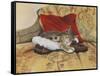 Comfy Slipper-Janet Pidoux-Framed Stretched Canvas