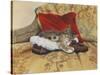 Comfy Slipper-Janet Pidoux-Stretched Canvas