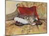 Comfy Slipper-Janet Pidoux-Mounted Giclee Print