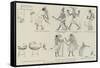 Comic Frieze from Mr Flinders Petrie's Egyptian Discoveries-null-Framed Stretched Canvas