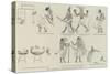 Comic Frieze from Mr Flinders Petrie's Egyptian Discoveries-null-Stretched Canvas