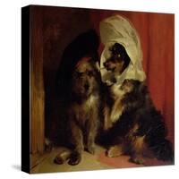 Comical Dogs, 1836-Edwin Henry Landseer-Stretched Canvas