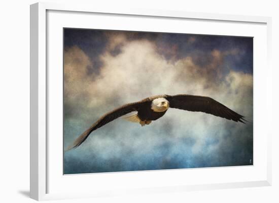 Coming Home Bald Eagle-Jai Johnson-Framed Giclee Print