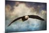 Coming Home Bald Eagle-Jai Johnson-Mounted Giclee Print