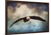 Coming Home Bald Eagle-Jai Johnson-Framed Giclee Print