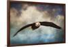 Coming Home Bald Eagle-Jai Johnson-Framed Giclee Print