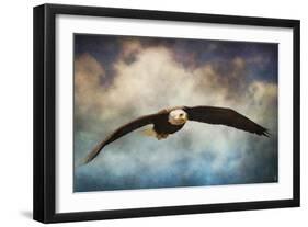 Coming Home Bald Eagle-Jai Johnson-Framed Giclee Print