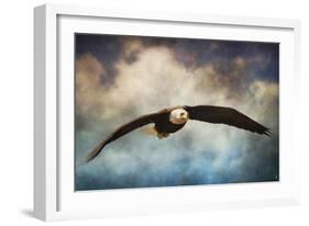 Coming Home Bald Eagle-Jai Johnson-Framed Giclee Print