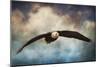 Coming Home Bald Eagle-Jai Johnson-Mounted Giclee Print