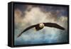 Coming Home Bald Eagle-Jai Johnson-Framed Stretched Canvas