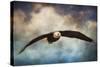 Coming Home Bald Eagle-Jai Johnson-Stretched Canvas