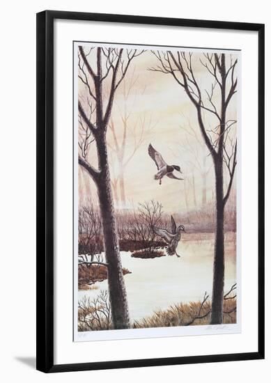 Coming in (Ducks)-Allen Friedman-Framed Limited Edition