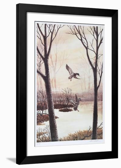 Coming in (Ducks)-Allen Friedman-Framed Limited Edition