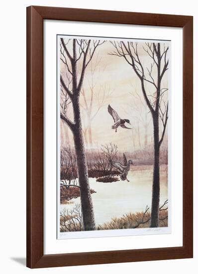 Coming in (Ducks)-Allen Friedman-Framed Limited Edition