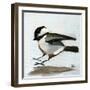 Coming In for a Landing-Angela Moulton-Framed Art Print