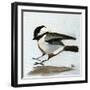 Coming In for a Landing-Angela Moulton-Framed Art Print