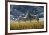 Coming of Rain Zebra-Jeremy Paul-Framed Giclee Print