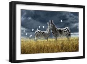 Coming of Rain Zebra-Jeremy Paul-Framed Giclee Print
