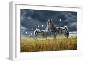 Coming of Rain Zebra-Jeremy Paul-Framed Giclee Print