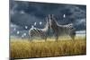 Coming of Rain Zebra-Jeremy Paul-Mounted Giclee Print