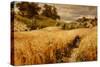 Coming Thro The Rye-Charles James Lewis-Stretched Canvas
