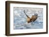 Coming-C. Mei-Framed Photographic Print