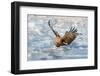 Coming-C. Mei-Framed Photographic Print