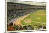 Comiskey Park, Chicago, Illinois-null-Mounted Art Print