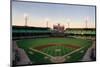 Comiskey Park, Chicago-Ira Rosen-Mounted Art Print