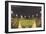 Comiskey Park, Night, Chicago, Illinois-null-Framed Art Print