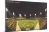 Comiskey Park, Night, Chicago, Illinois-null-Mounted Art Print