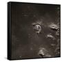 Command Module Above the Moon-null-Framed Stretched Canvas