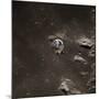 Command Module Above the Moon-null-Mounted Photographic Print