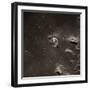 Command Module Above the Moon-null-Framed Photographic Print