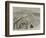 Commemoration of the Eighteenth Centenary of the Destruction of Pompeii-Thomas Harrington Wilson-Framed Giclee Print