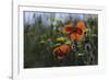 Commemoration Poppies-Wild Wonders of Europe-Framed Giclee Print