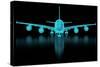 Commercial Aircraft Mesh-nmcandre-Stretched Canvas