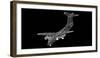 Commercial Airliner-Podsolnukh-Framed Photographic Print