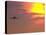 Commercial Airplane at Sunset-Mitch Diamond-Stretched Canvas