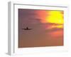 Commercial Airplane at Sunset-Mitch Diamond-Framed Photographic Print