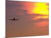 Commercial Airplane at Sunset-Mitch Diamond-Mounted Photographic Print