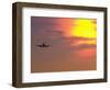 Commercial Airplane at Sunset-Mitch Diamond-Framed Photographic Print