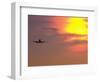 Commercial Airplane at Sunset-Mitch Diamond-Framed Photographic Print